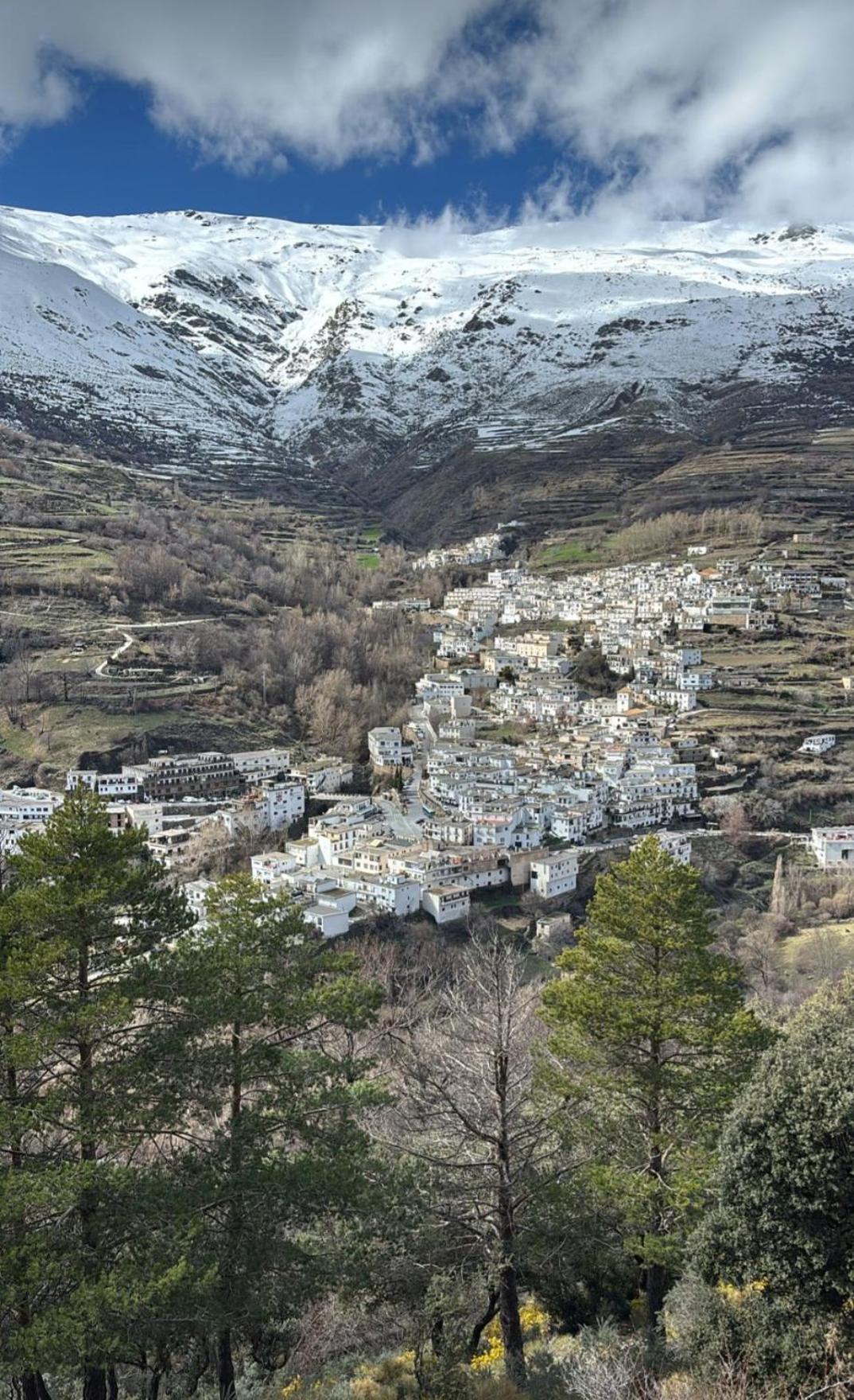Alojamiento Rural Casa Clara La Pescaora Trevelez Ngoại thất bức ảnh